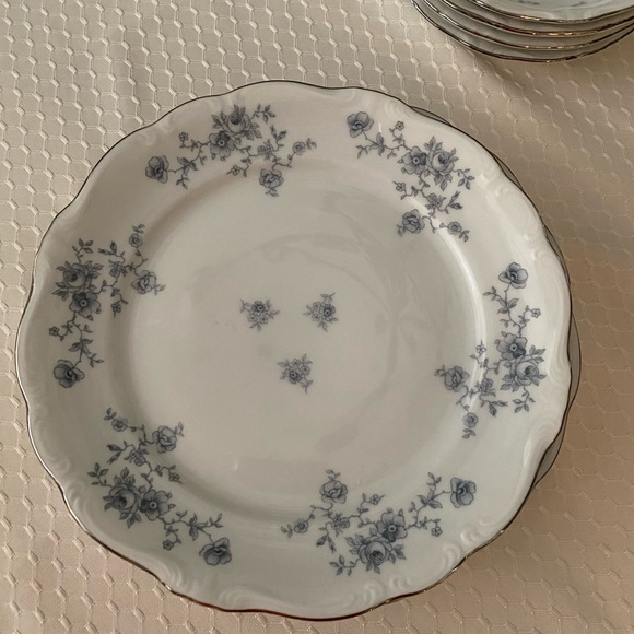 Vintage Johann Haviland's Blue Garland Pattern Bavaria Germany 20 pc dinner set - Picture 4 of 11